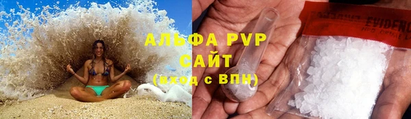 прущие грибы Алексеевка