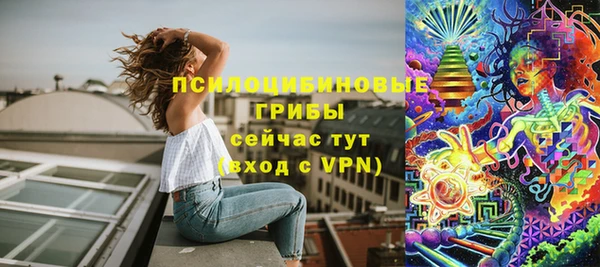 прущие грибы Алексеевка