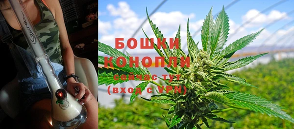 PSILOCYBIN Алзамай
