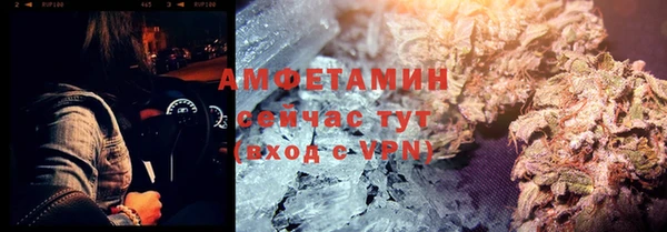 PSILOCYBIN Алзамай