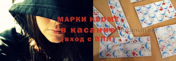 PSILOCYBIN Алзамай