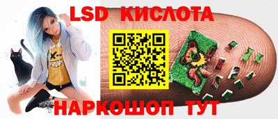 МДПВ Новозыбков
