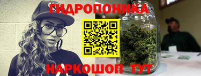 PSILOCYBIN Новодвинск