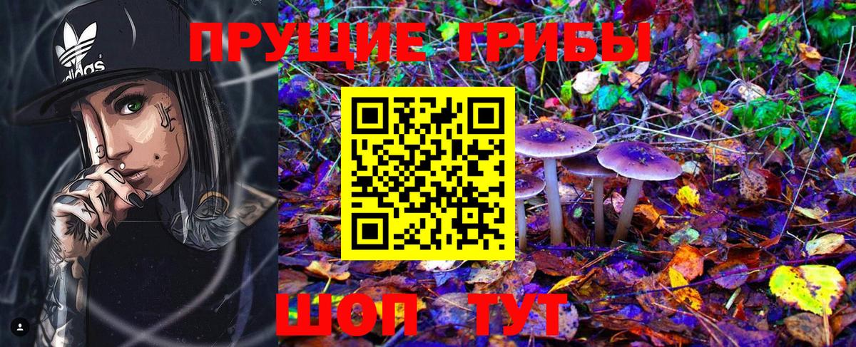 Псилоцибиновые грибы Psilocybine cubensis Удомля