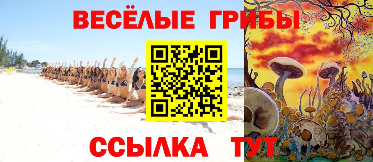 Галлюциногенные грибы мухоморы  Галлюциногенные грибы мухоморы  Вход с VPN  Удомля 